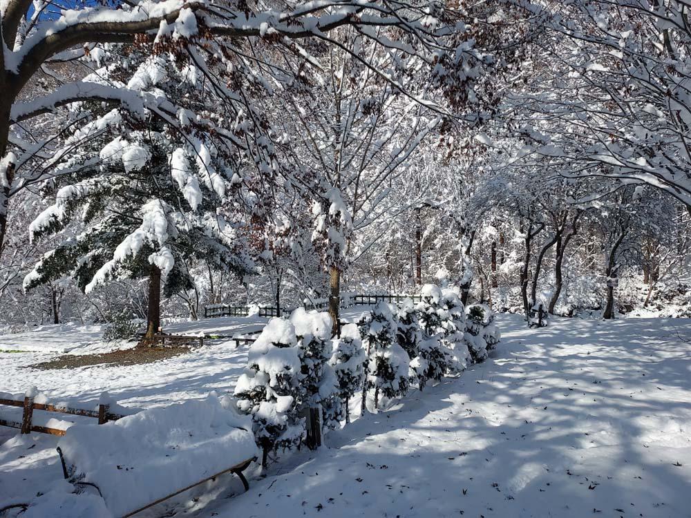 횡성산울림오토캠핑장