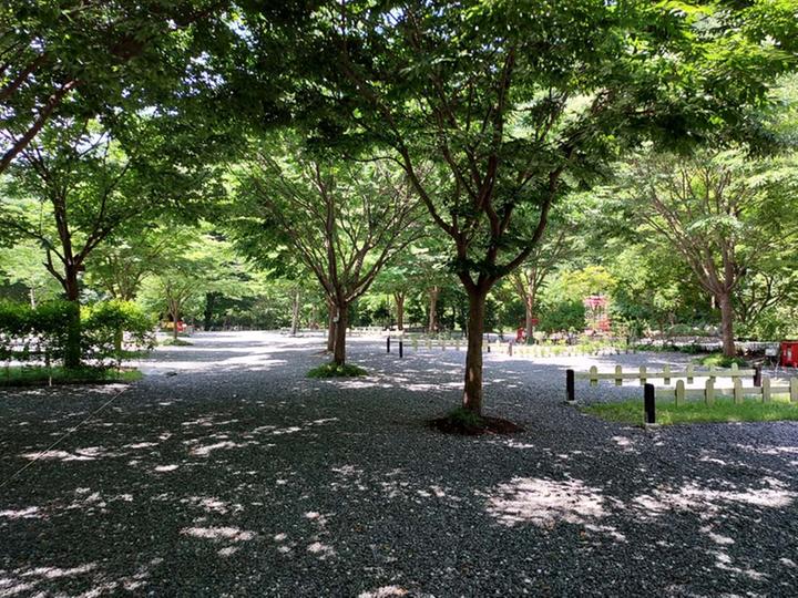 횡성산울림오토캠핑장 메인 이미지