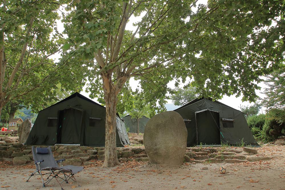Camp 1950