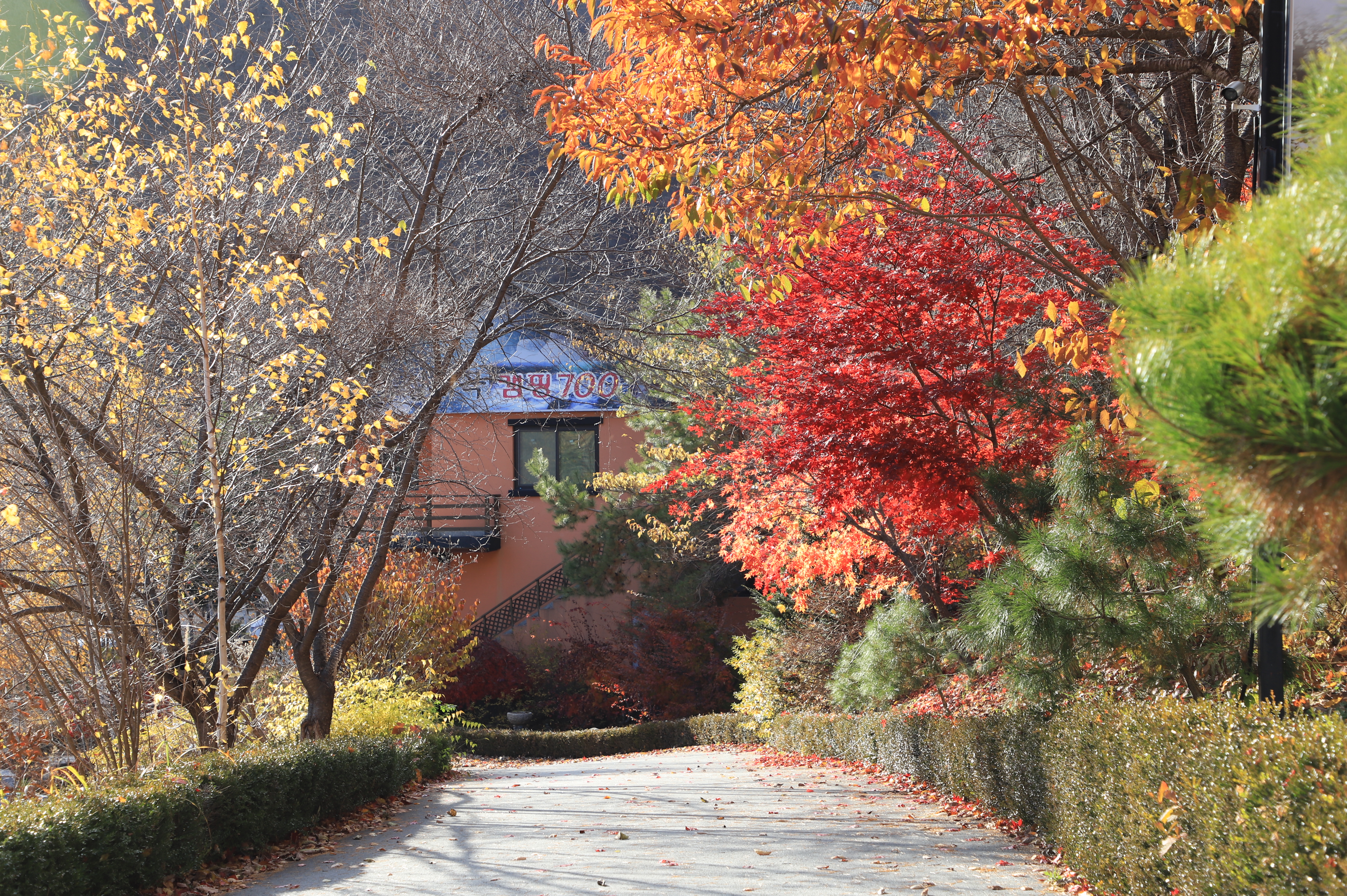 흥정계곡 캠핑 700