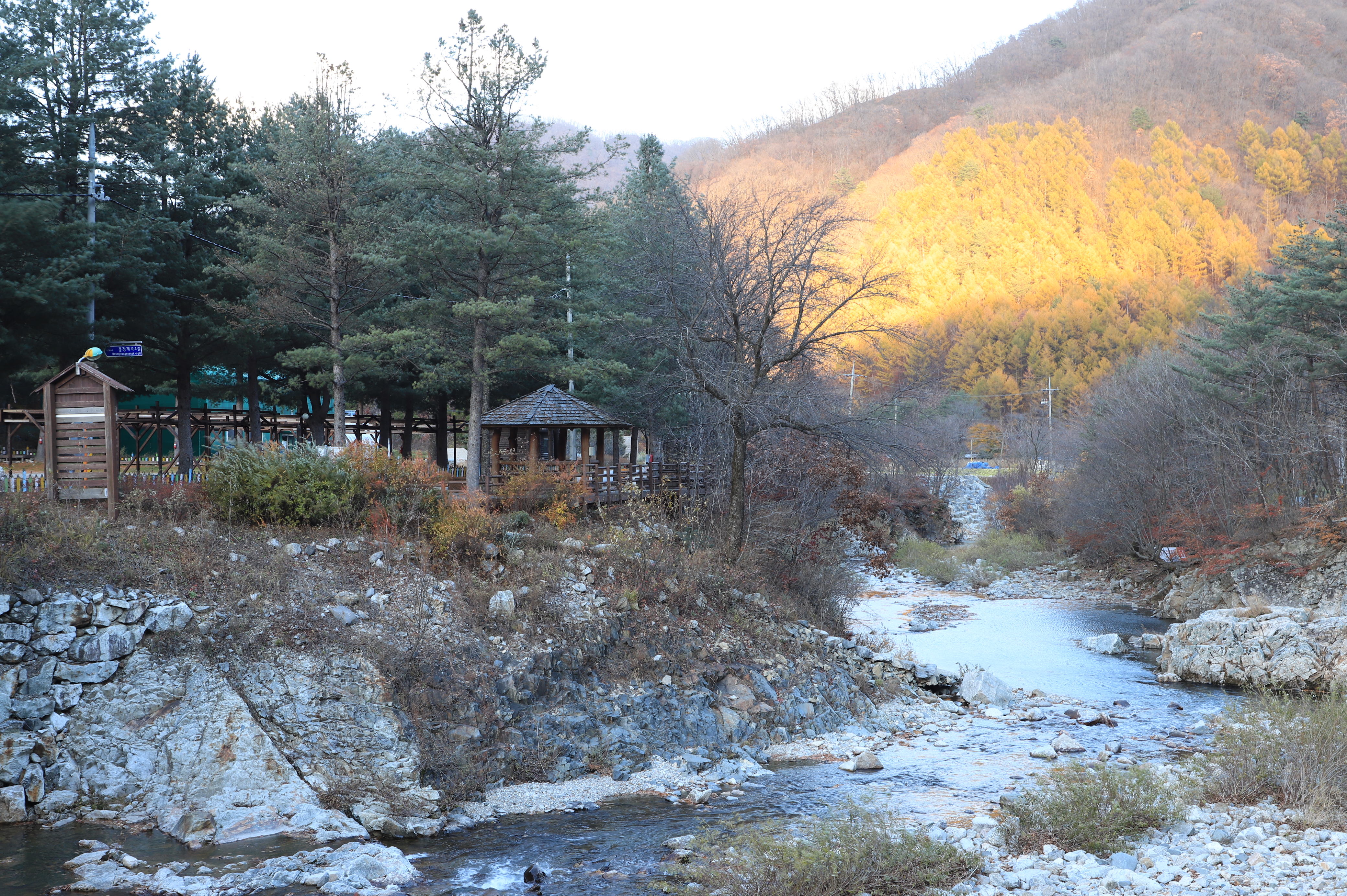 흥정계곡오토캠핑장