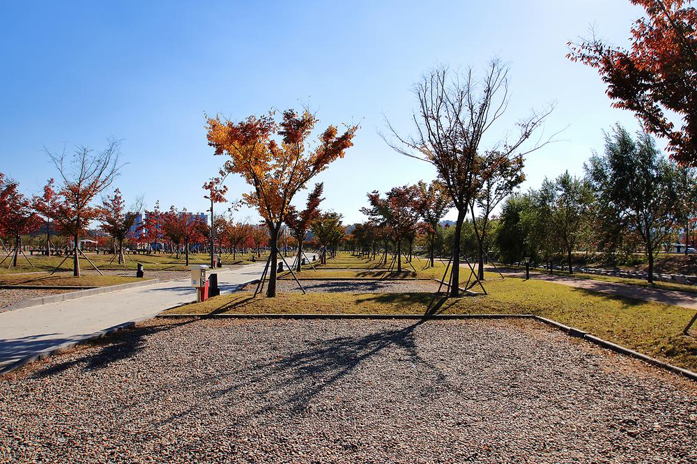 구미 캠핑장