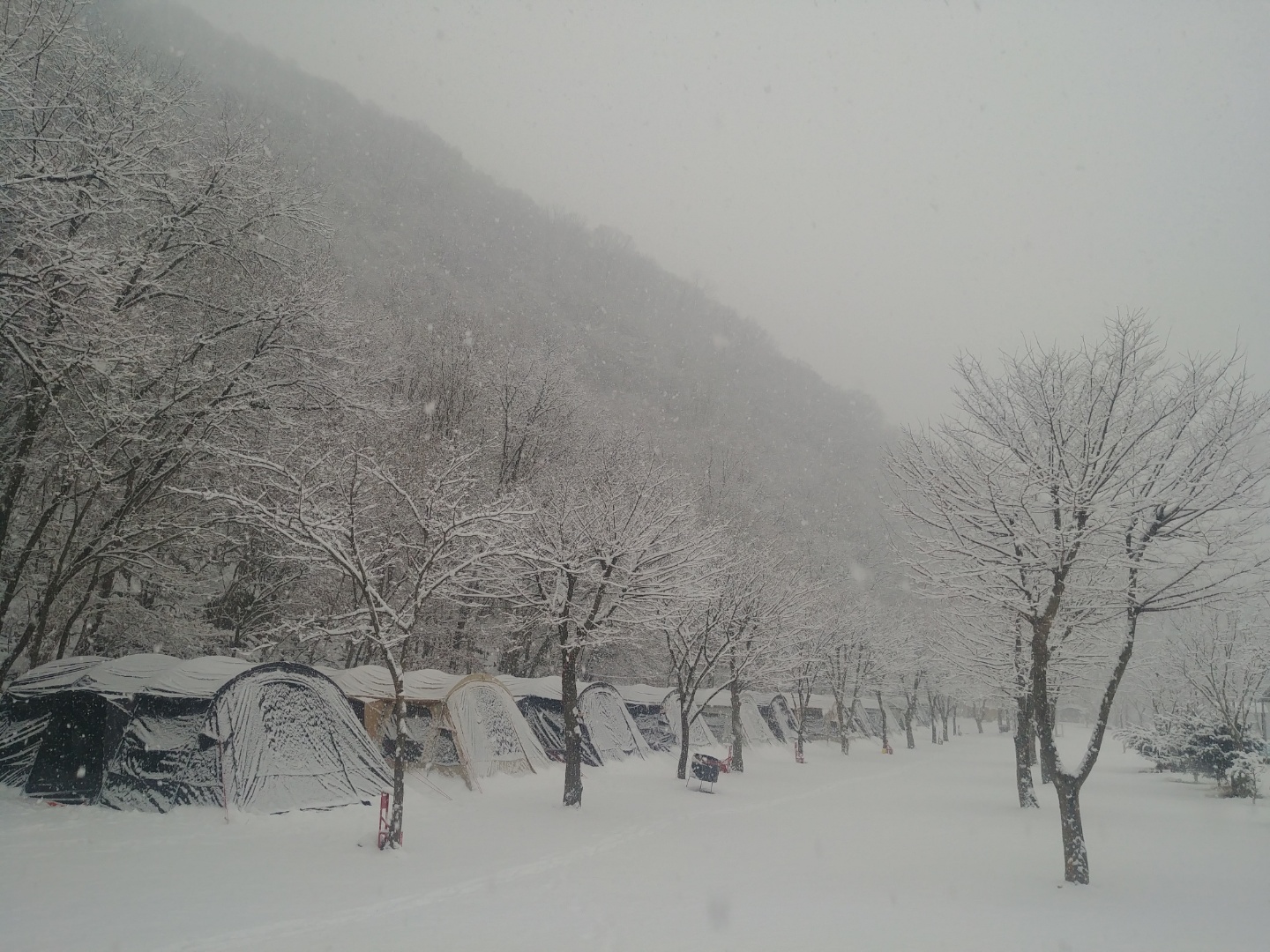 동상 힐링 캠핑장