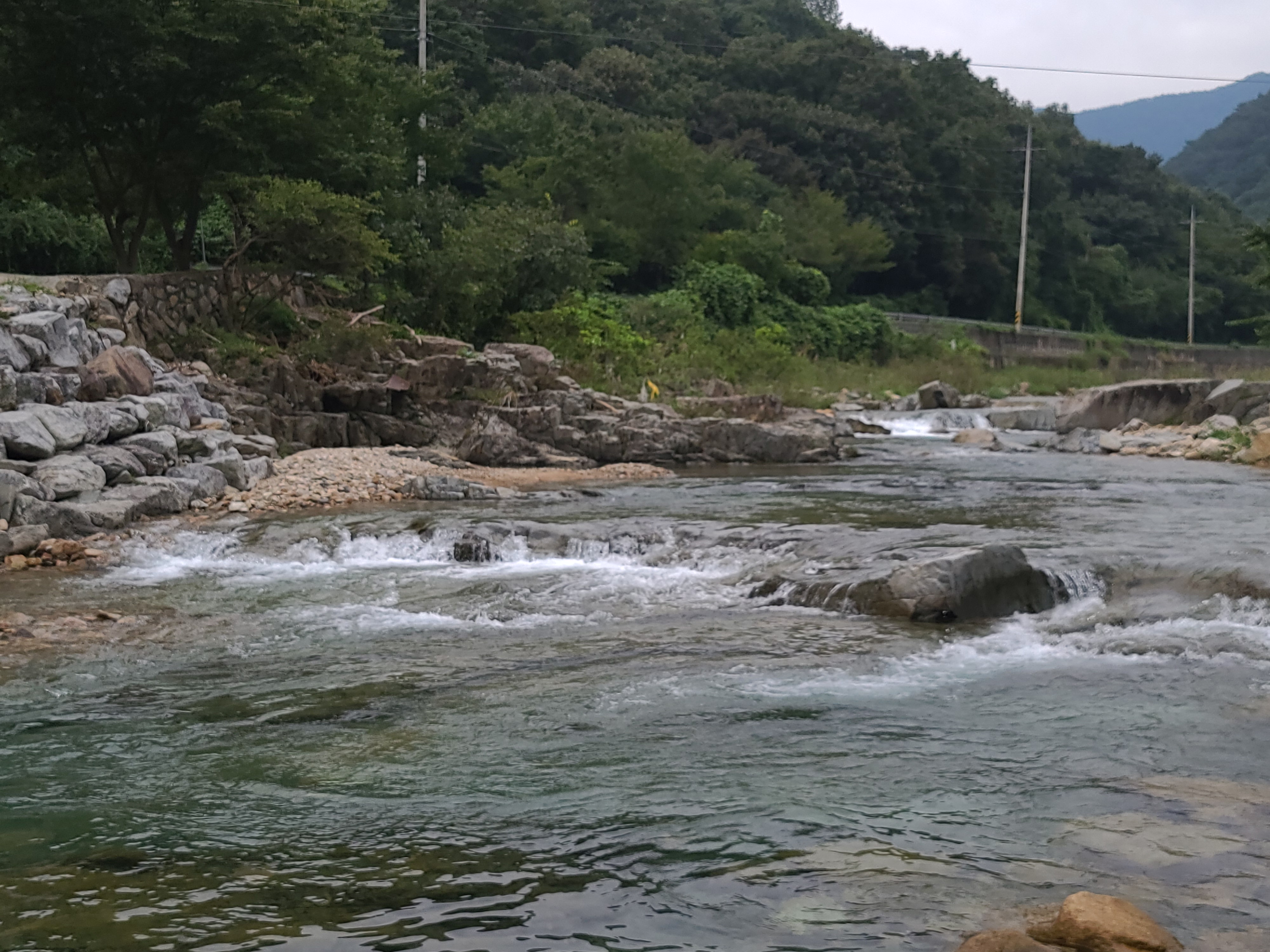 동상 힐링 캠핑장