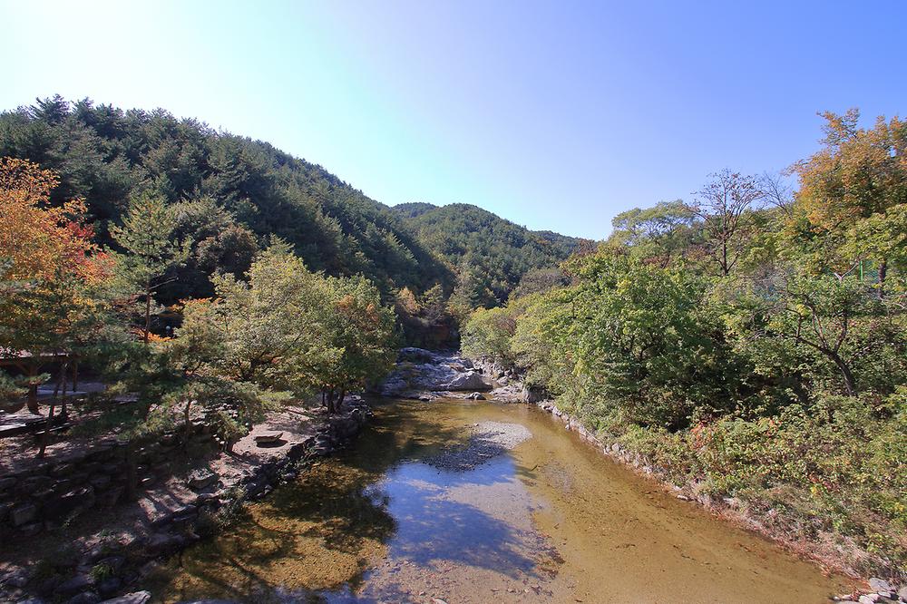 구수곡 자연휴양림