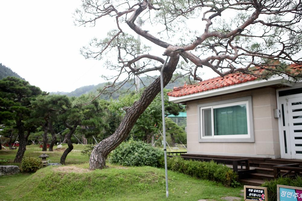 카라반2696	