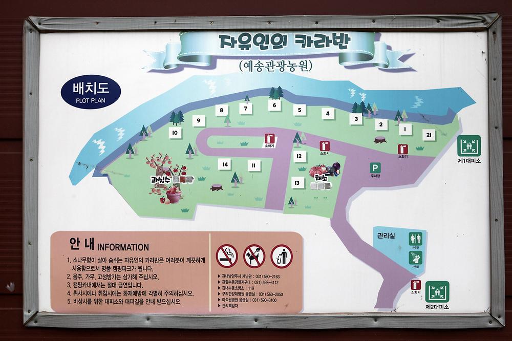 카라반2696	
