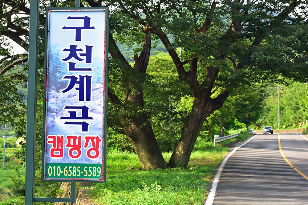 구천계곡야영장