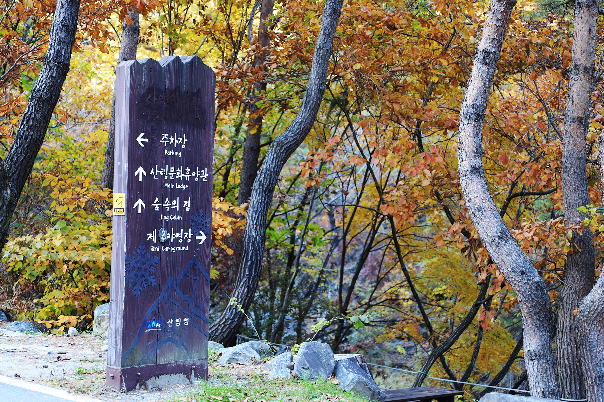 국립가리왕산자연휴양림