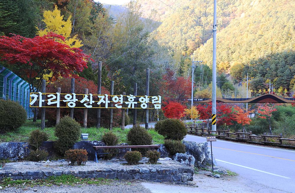 국립가리왕산자연휴양림
