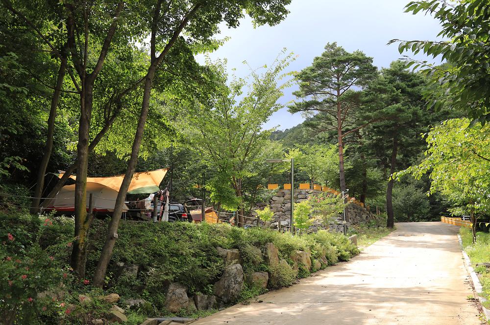 국립검봉산자연휴양림야영장