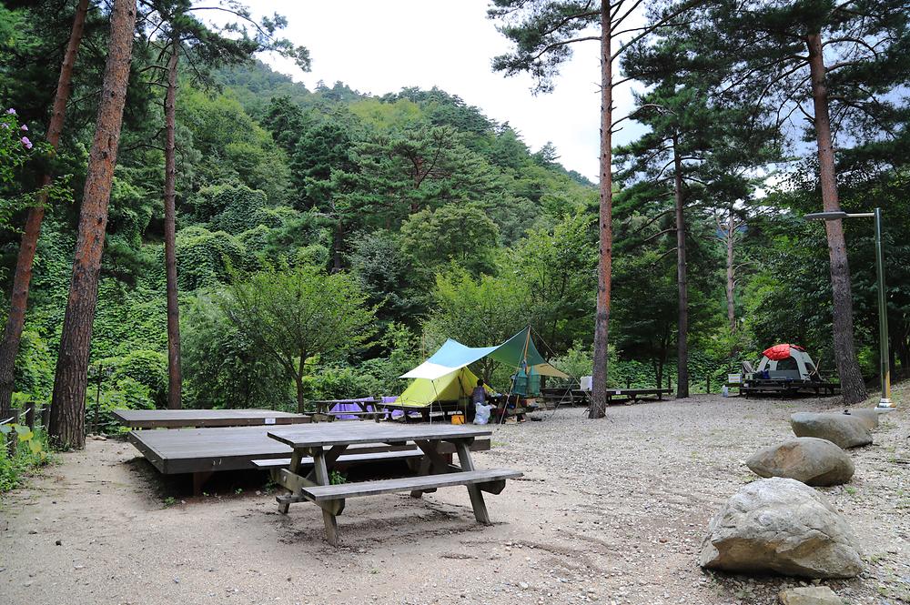 국립검봉산자연휴양림야영장