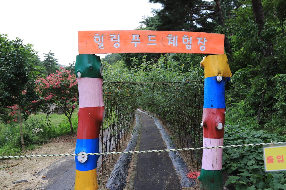 국립검봉산자연휴양림야영장