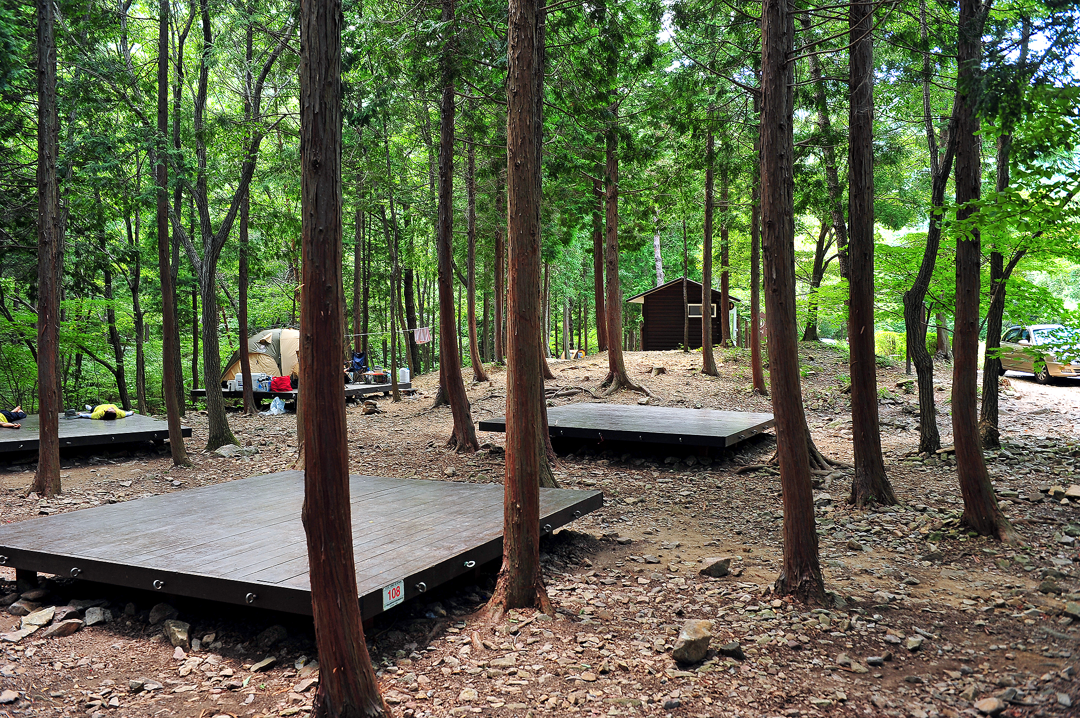 국립남해편백자연휴양림