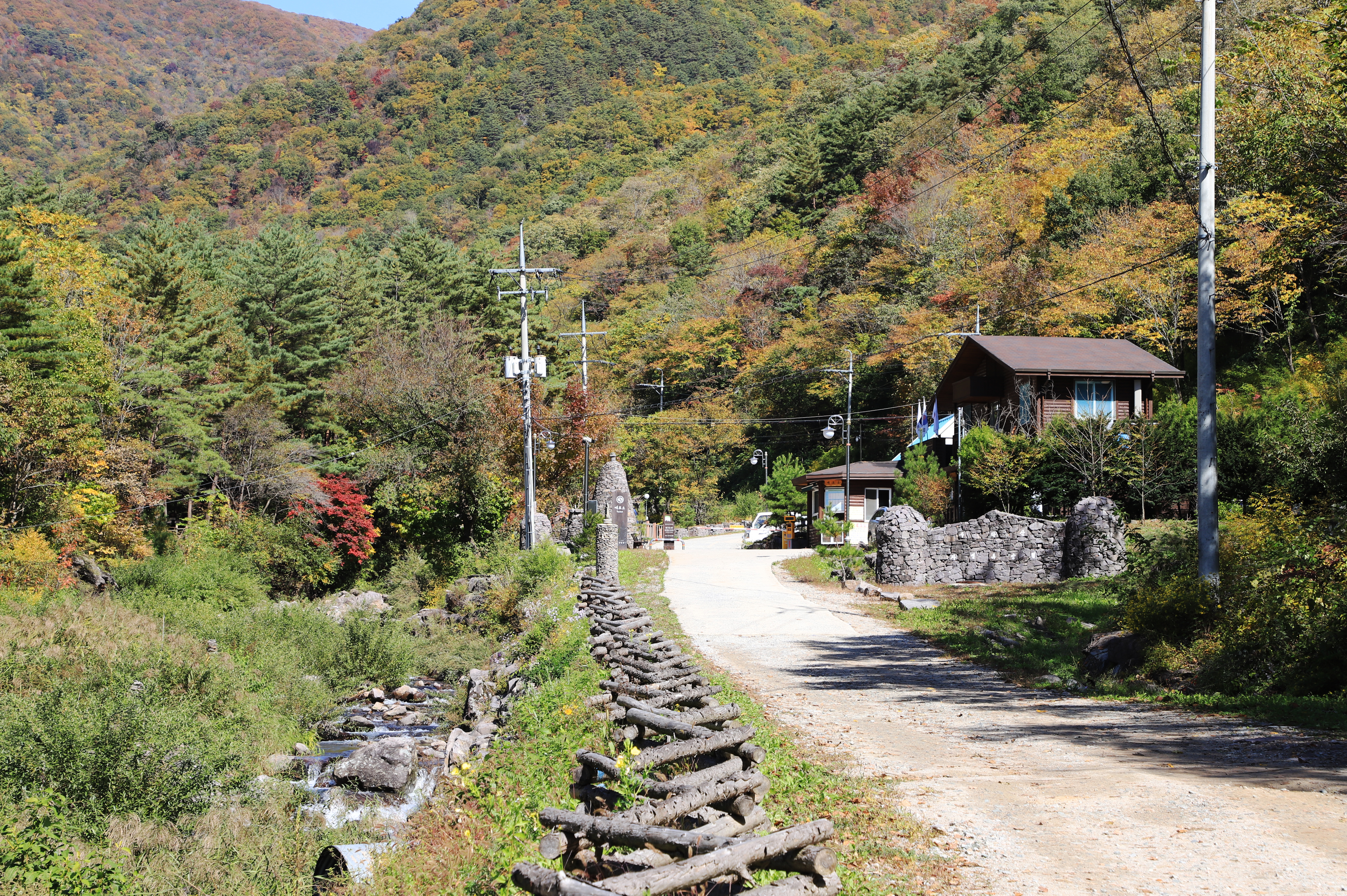 국립자연휴양림관리소 두타산자연휴양림