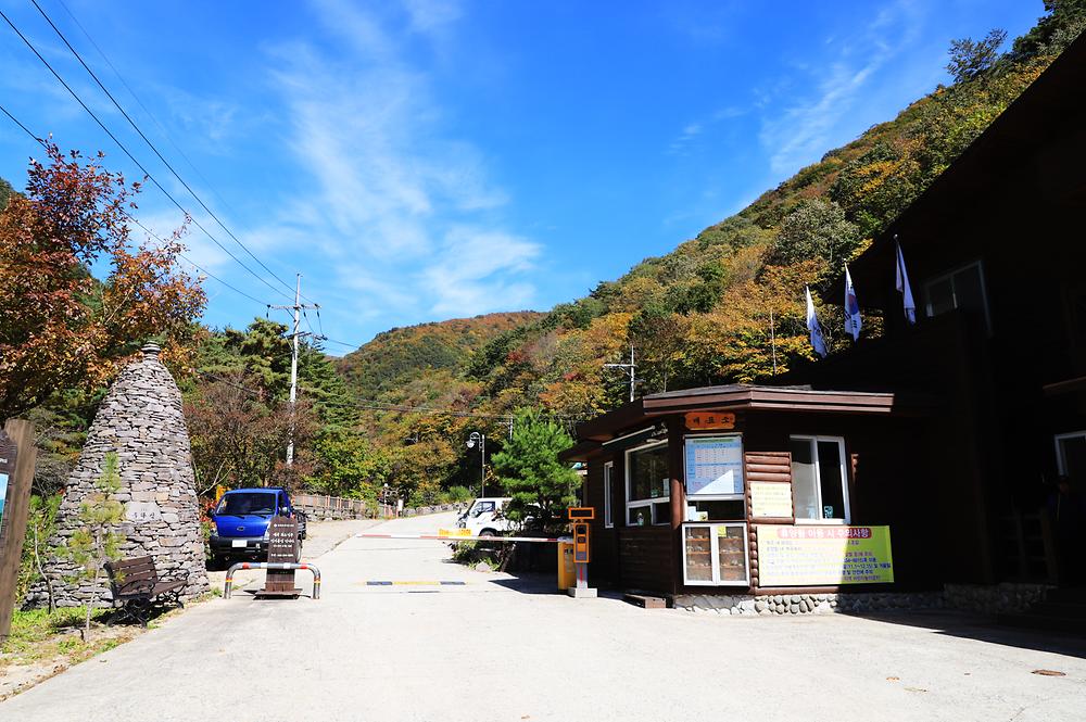 국립두타산자연휴양림