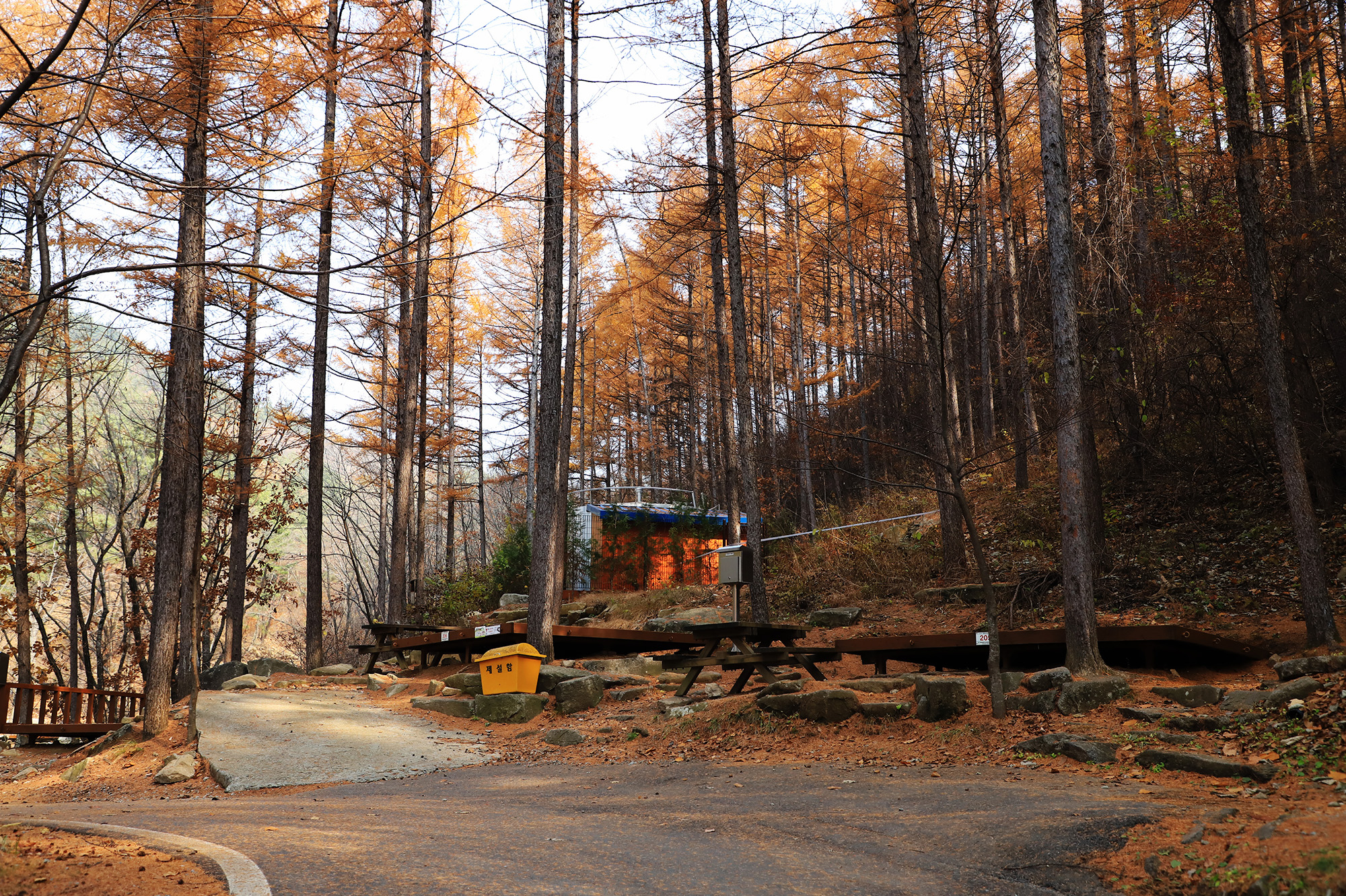 국립용화산자연휴양림