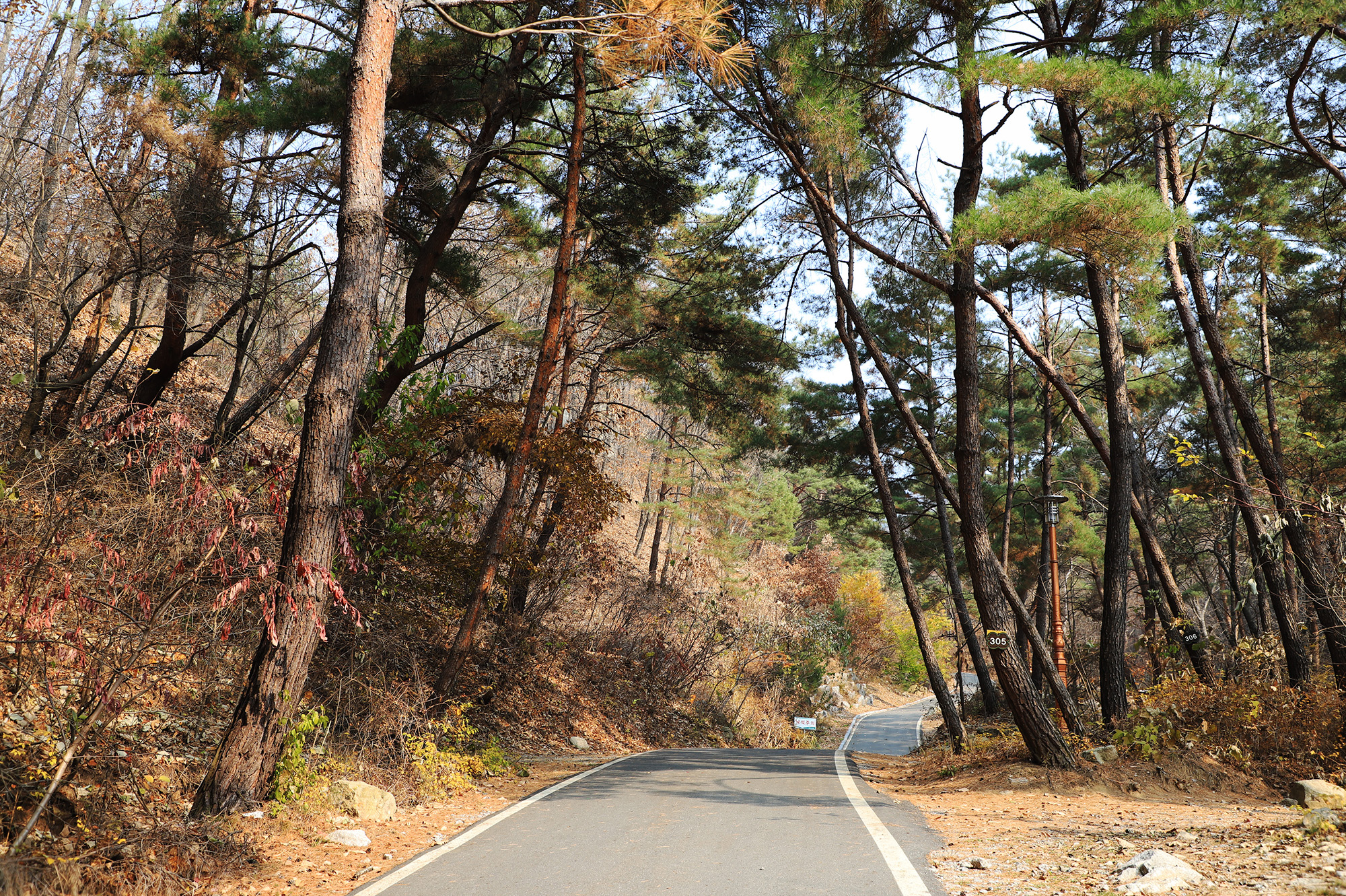 국립용화산자연휴양림