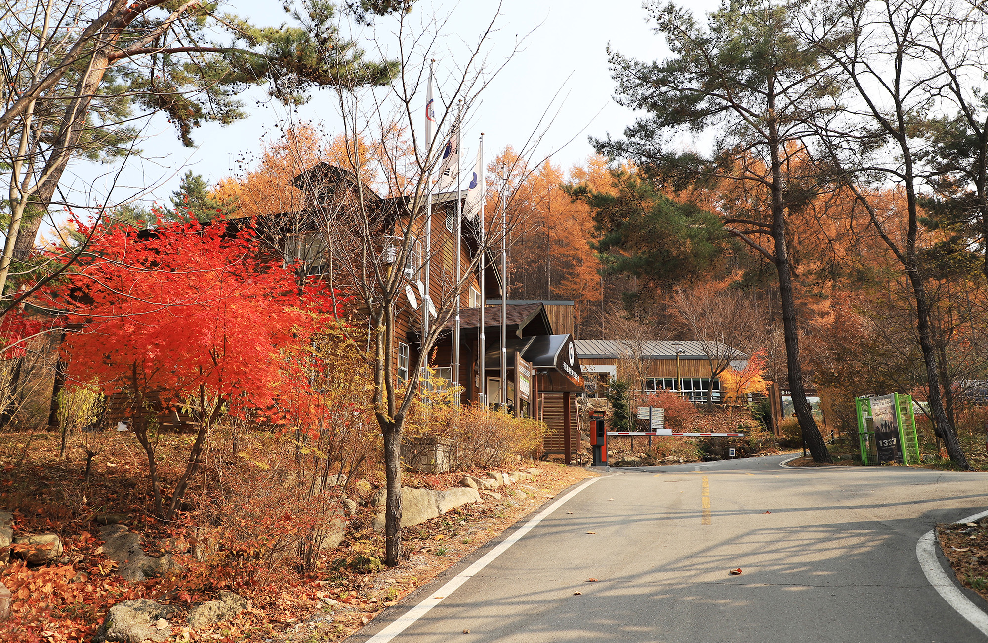 국립용화산자연휴양림