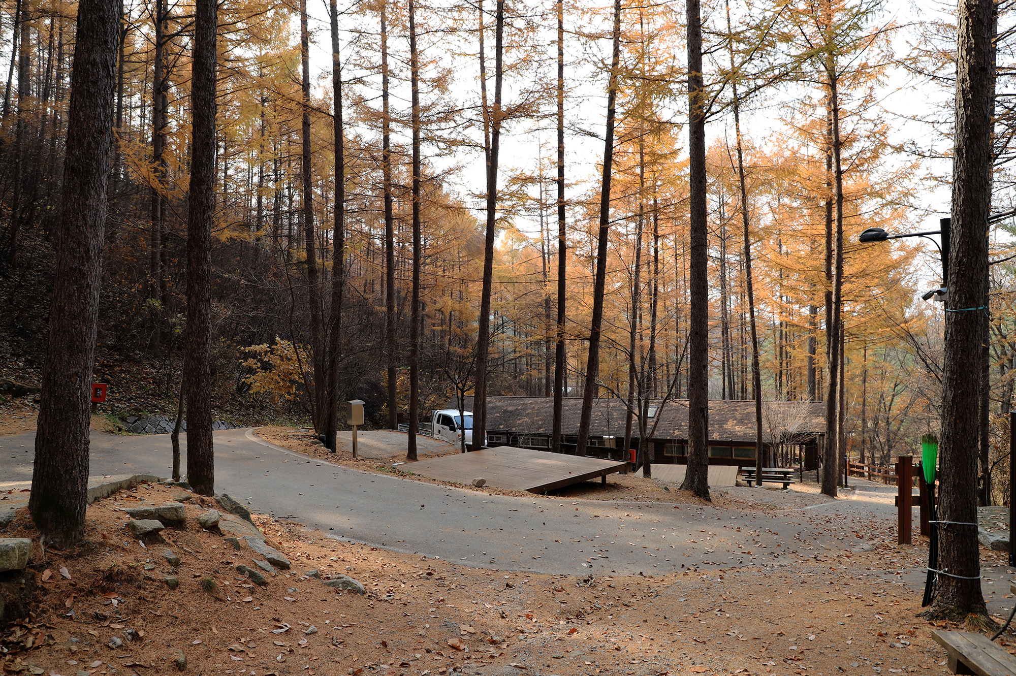 국립용화산자연휴양림