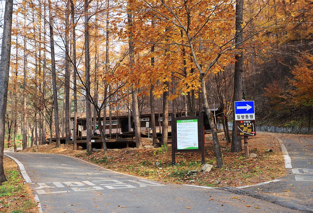 국립용화산자연휴양림