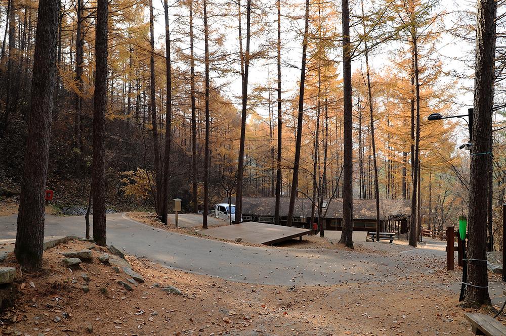 국립용화산자연휴양림
