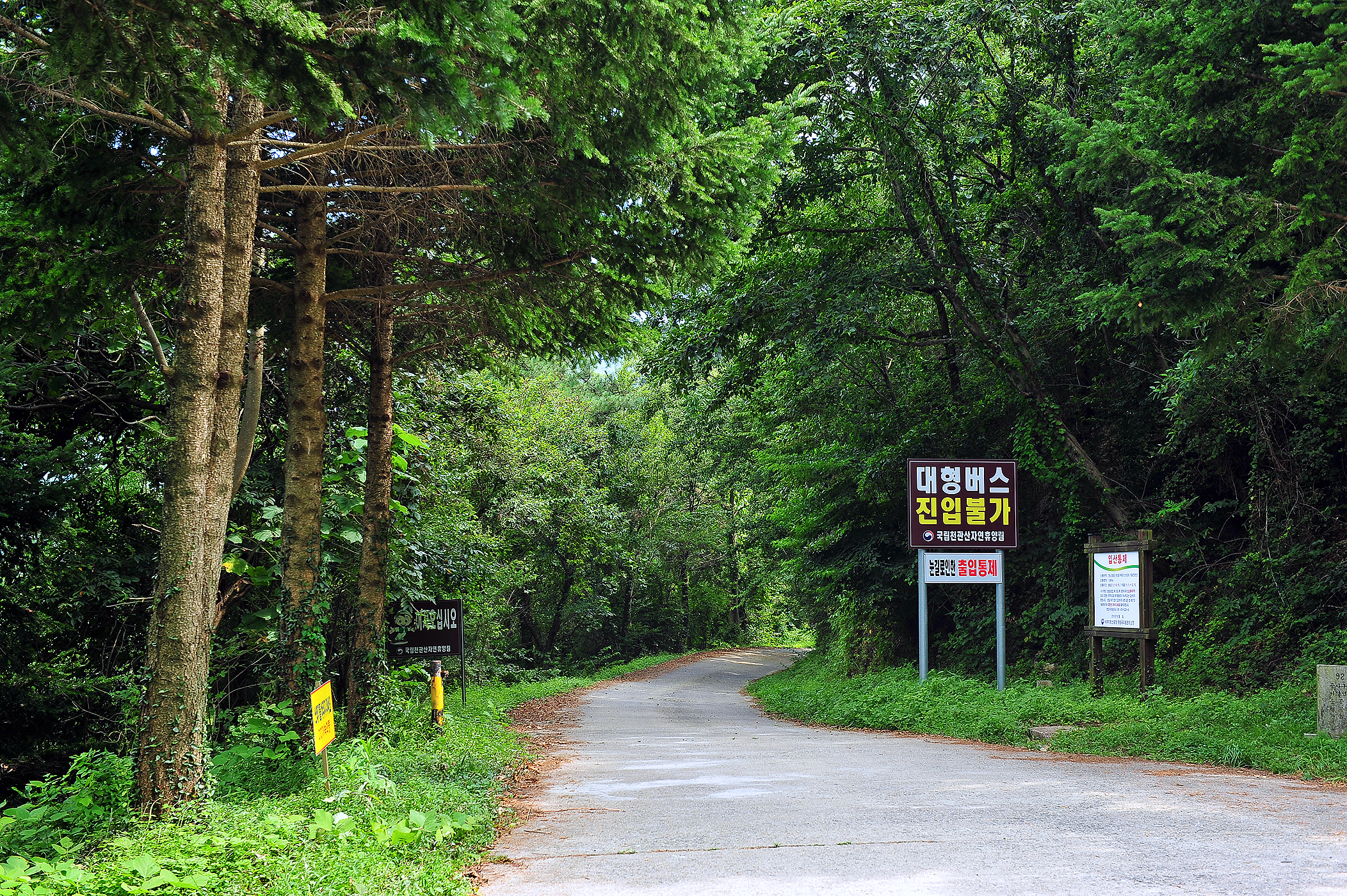 국립천관산자연휴양림