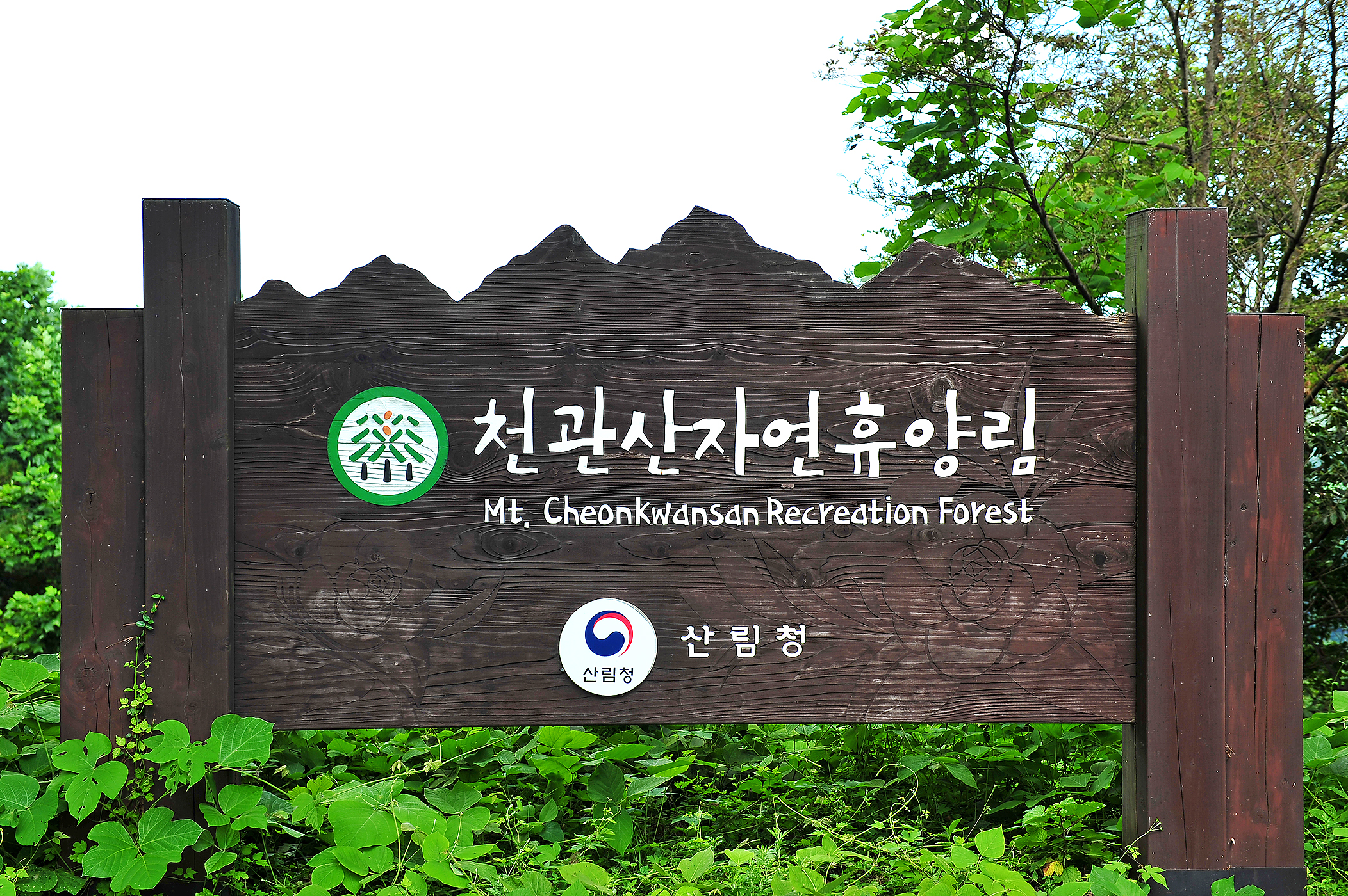 국립천관산자연휴양림