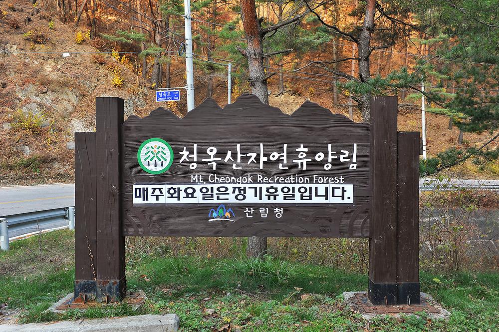 국립청옥산자연휴양림