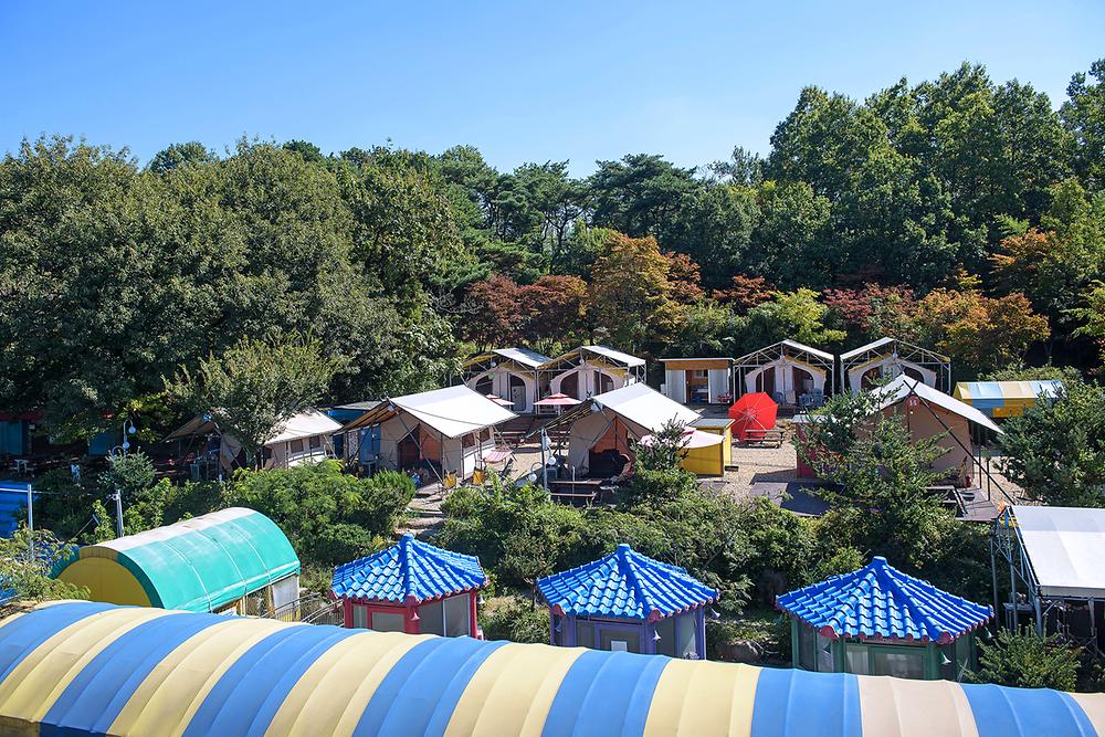 (주)디노담양힐링파크 지점