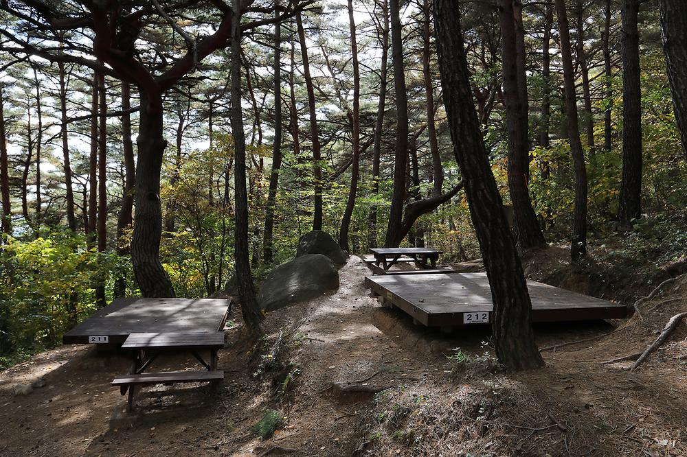 국립칠보산자연휴양림