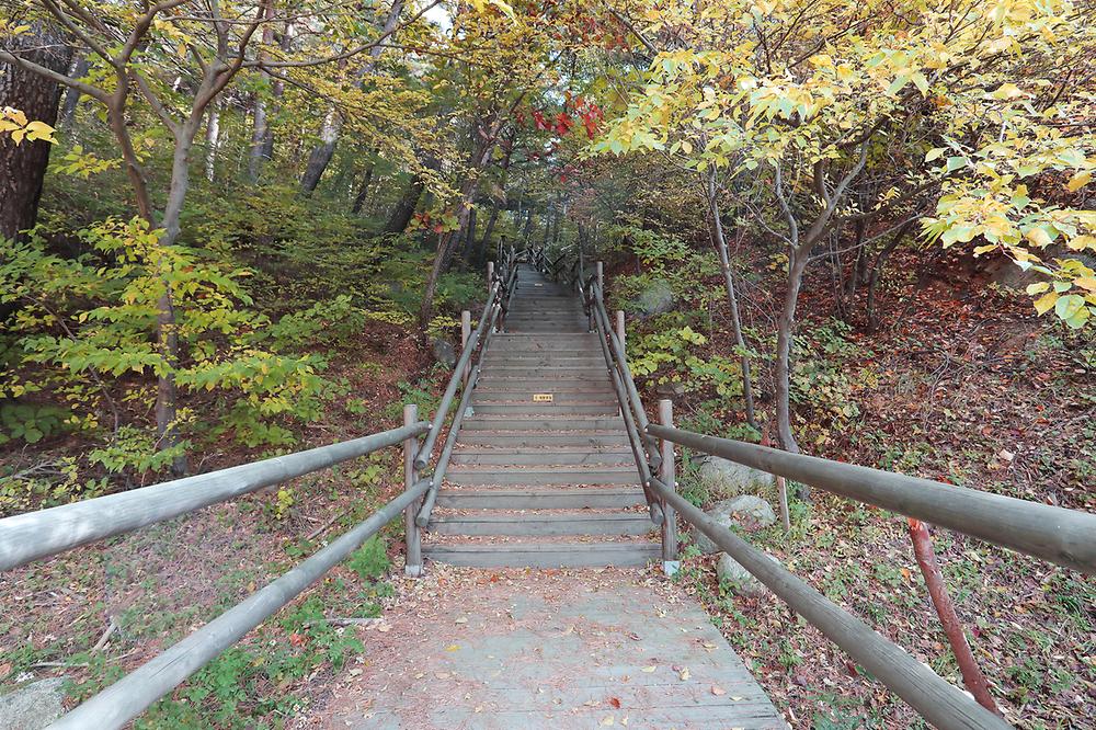 국립칠보산자연휴양림