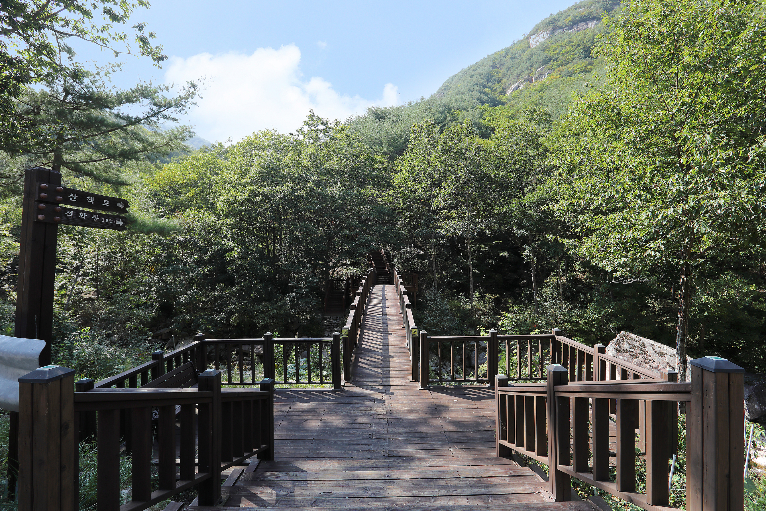 황정산자연휴양림야영장