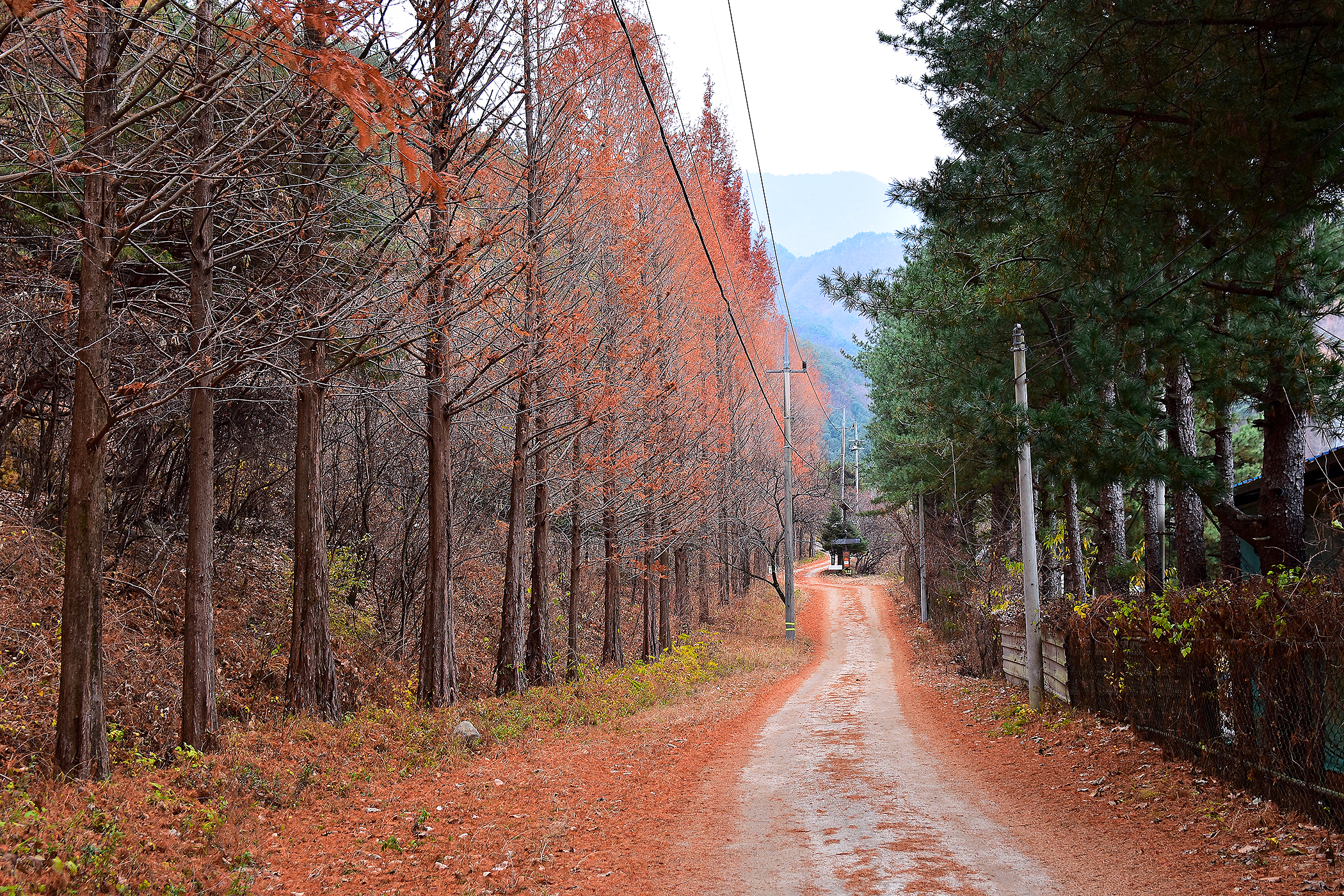 국망봉 자연휴양림캠핑장