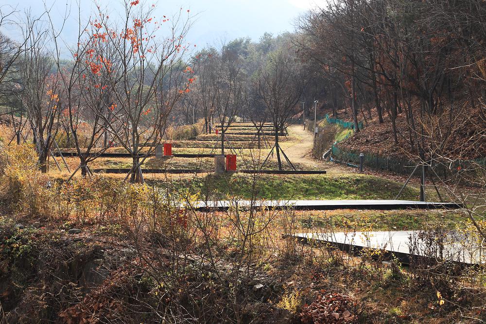 국토정중앙천문대야영장