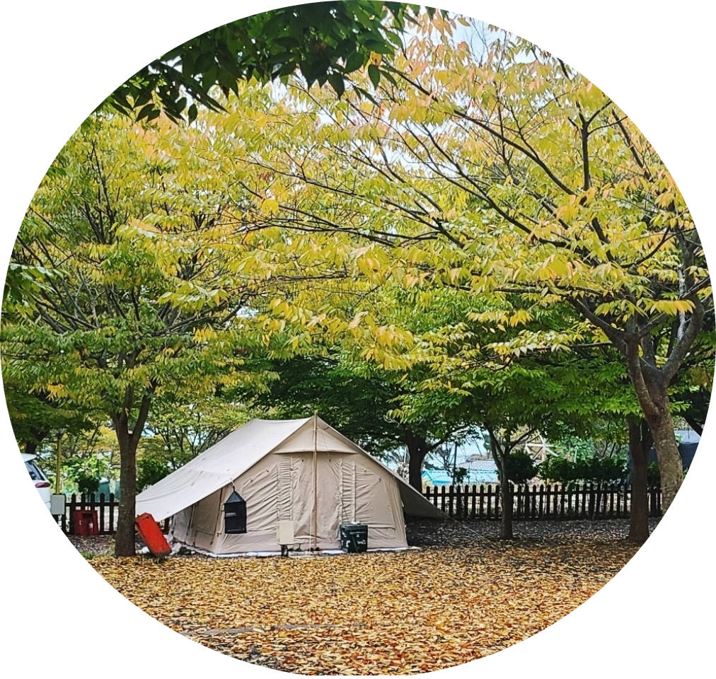 굼벵이캠핑장