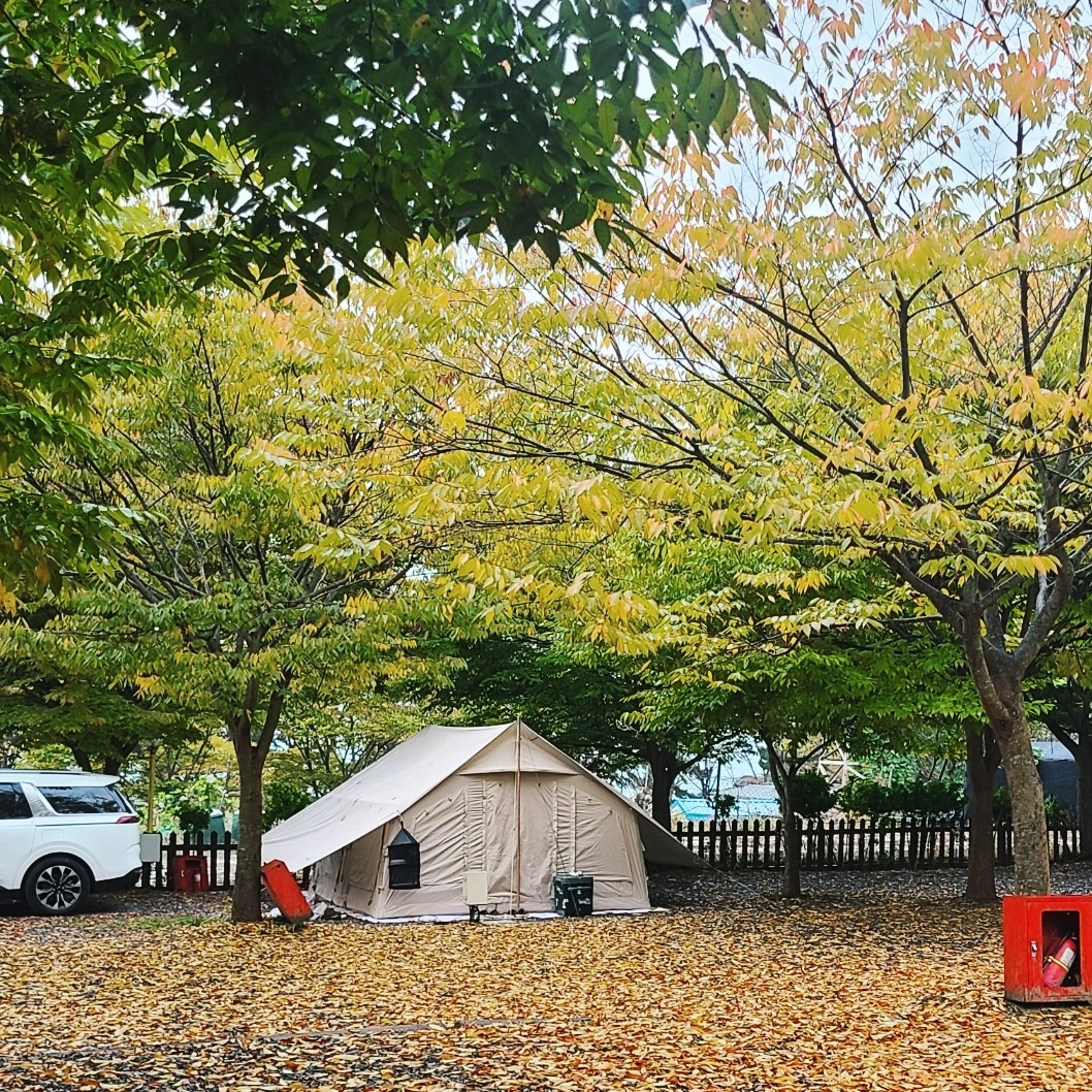 굼벵이캠핑장