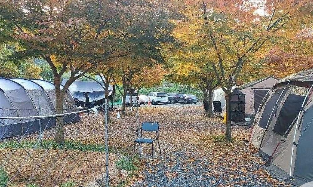 굼벵이캠핑장