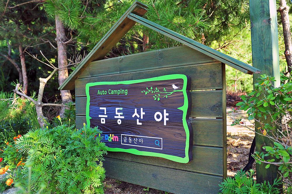 금동산야