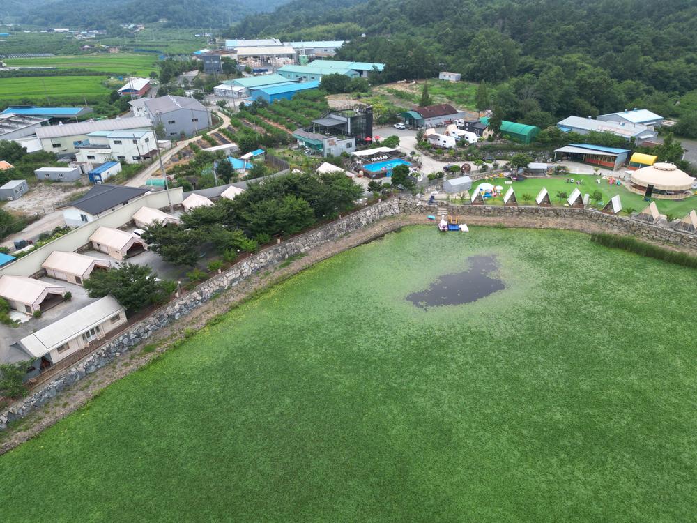 금박산관광농원