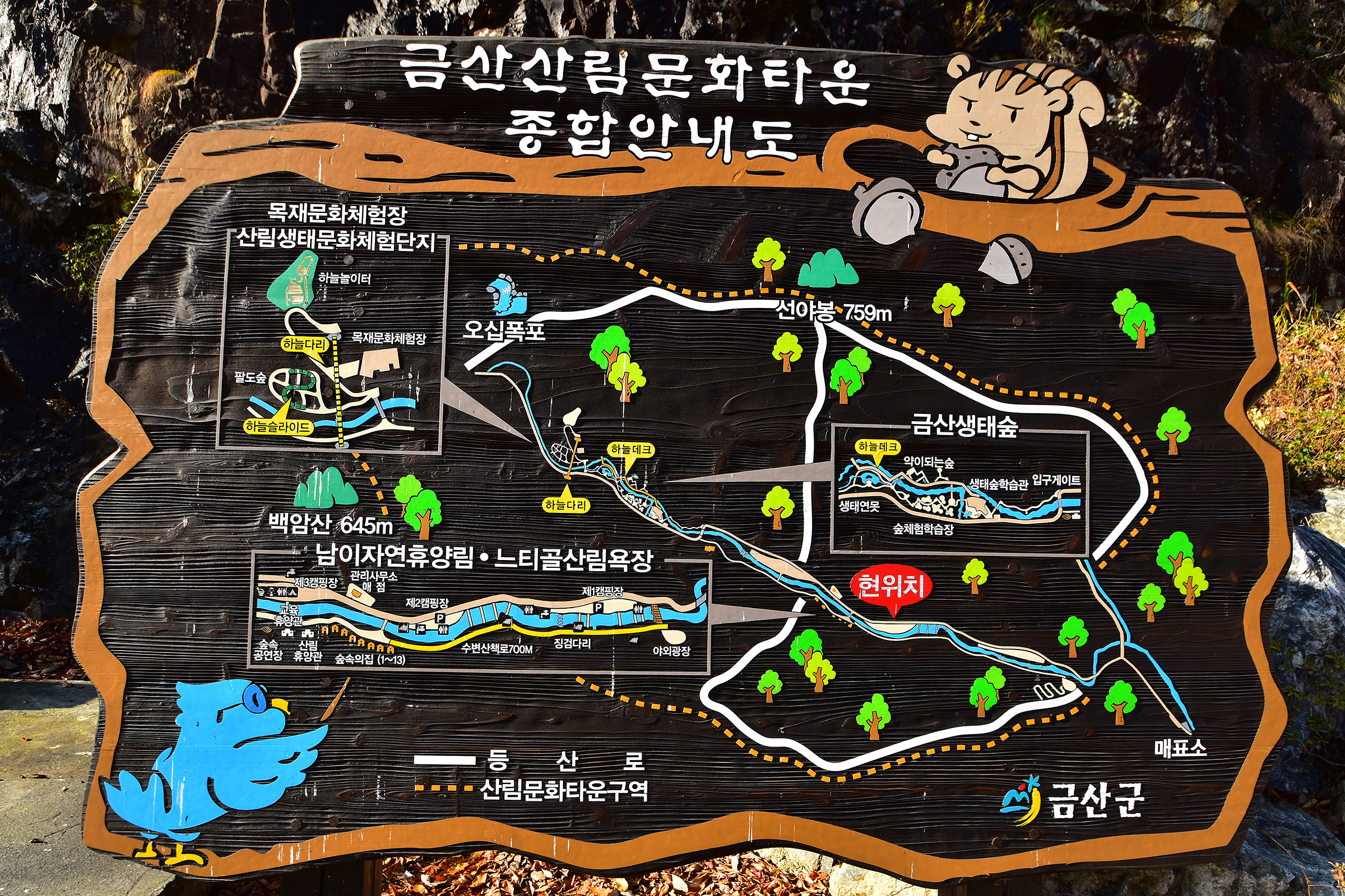안전 및 시설배치도입니다