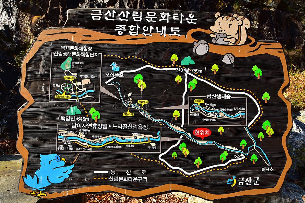 금산산림문화타운