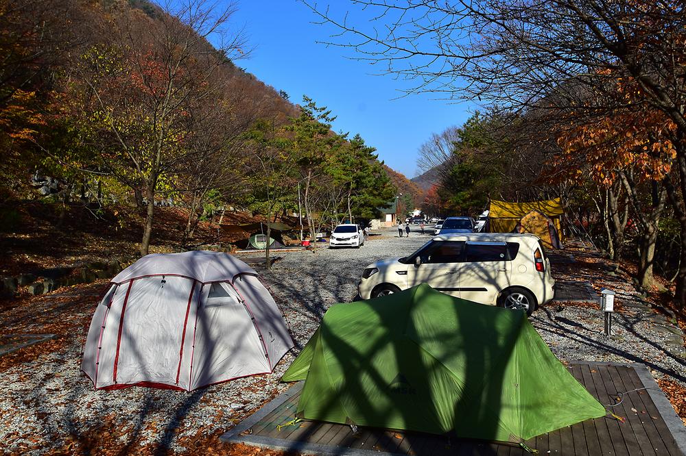 금산산림문화타운