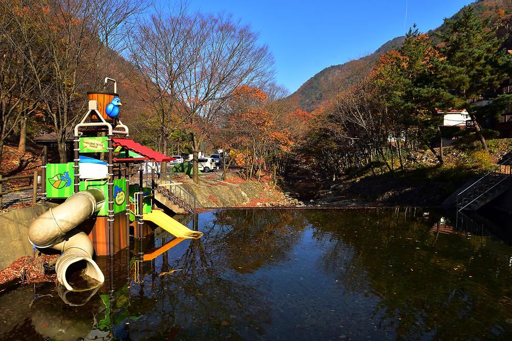 금산산림문화타운