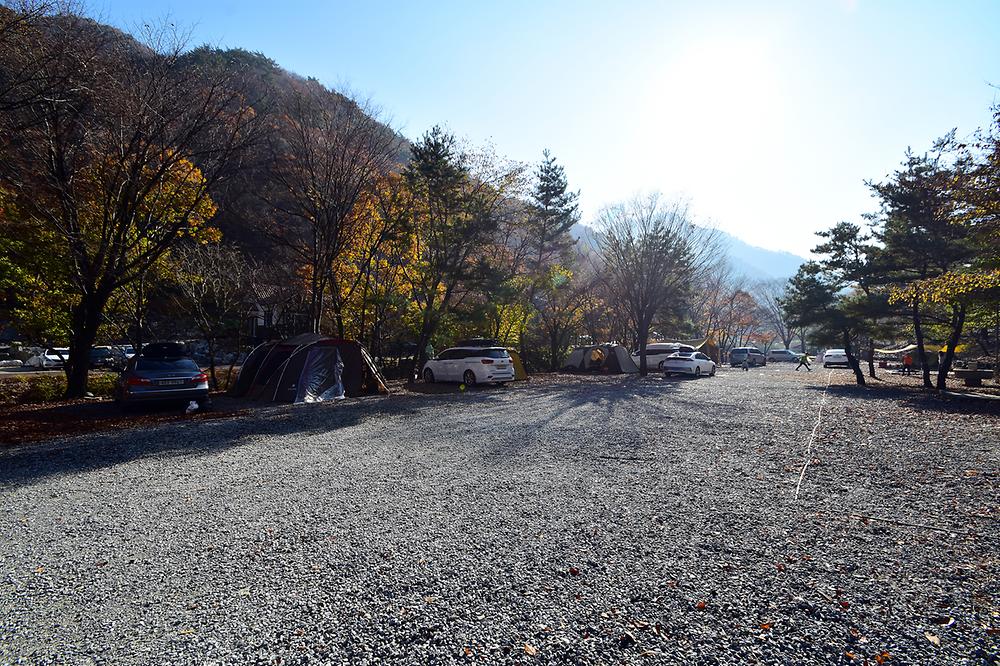 금산산림문화타운