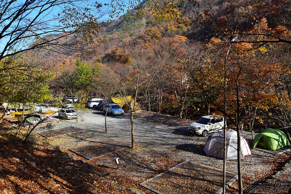 금산산림문화타운