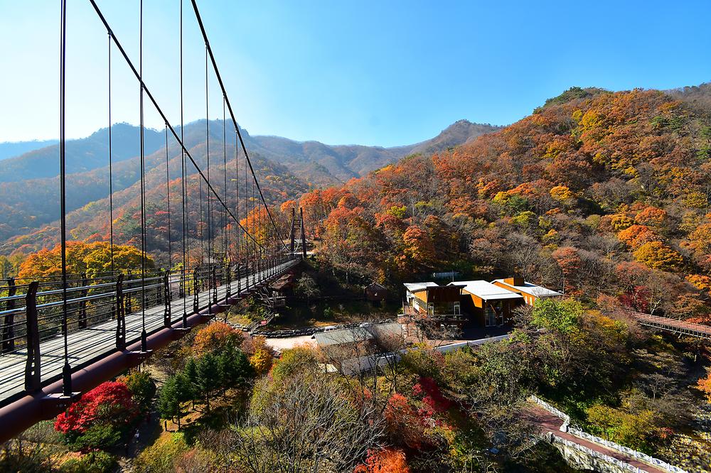 금산산림문화타운