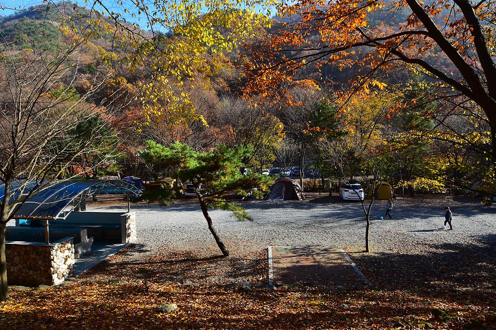 금산산림문화타운