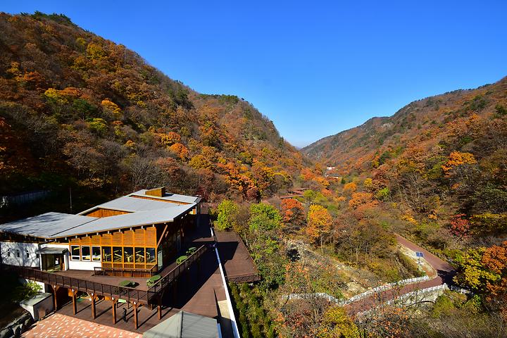 금산산림문화타운