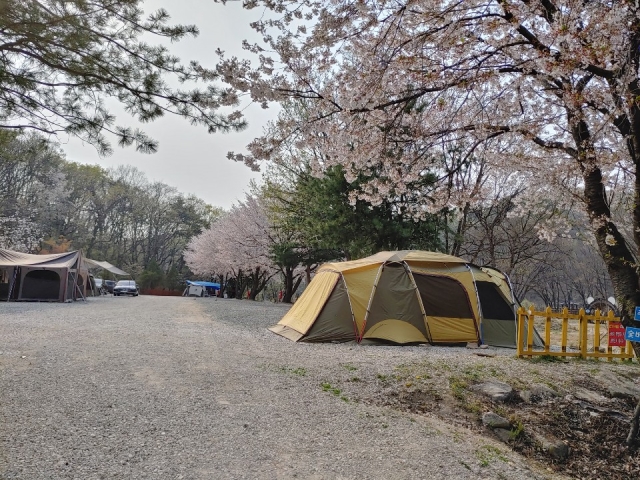 기산골캠핑장